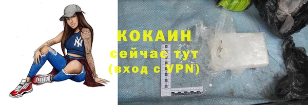 индика Армянск