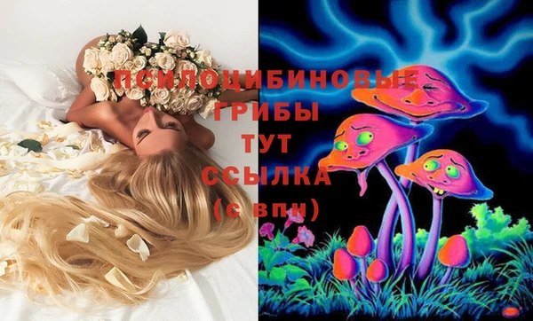 крисы Арсеньев