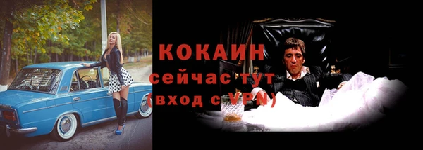 индика Армянск