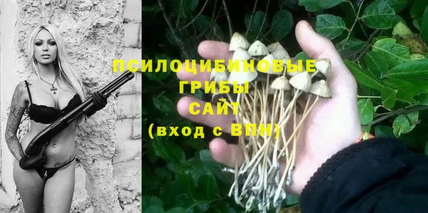 индика Армянск