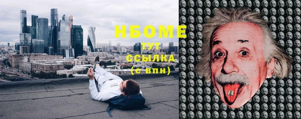 индика Армянск
