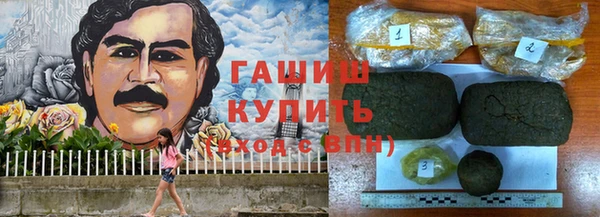 индика Армянск