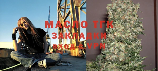 индика Армянск