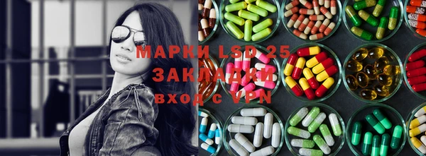 индика Армянск