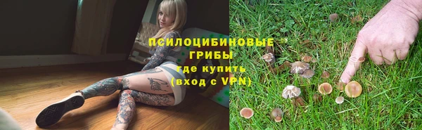 крисы Арсеньев