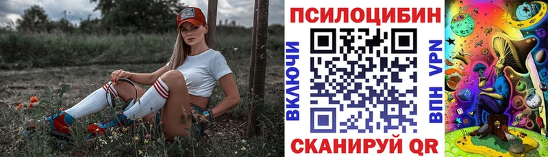 Псилоцибиновые грибы Cubensis  Артёмовск 